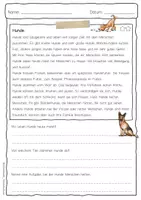 Vorschau - Arbeitsblätter - Sachtext Hund - Seite 3