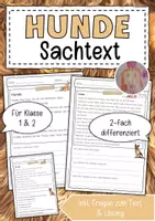 Vorschau - Arbeitsblätter - Sachtext Hund - Deckblatt