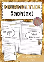 Vorschau - Arbeitsblätter - Sachtext Murmeltier - Deckblatt