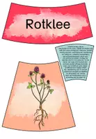 Vorschau - Bildkarten - Wiesenpflanzen - Legekreis - Seite 3
