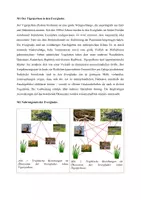 Vorschau - Klassenarbeiten - Biologie Klausur Ökologie (Q1) – Invasive Arten, trophische Netze & Drohnenmonitoring - Seite 3