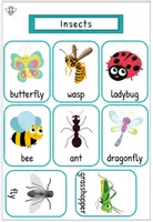 Vorschau - Arbeitsblätter - Englisch Insekten Paket – Flashcards, Arbeitsblätter, Spelling & Rätsel | Klasse 2-3 | mit Lösungen - Seite 1