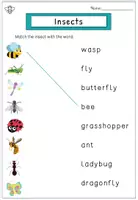 Vorschau - Arbeitsblätter - Englisch Insekten Paket – Flashcards, Arbeitsblätter, Spelling & Rätsel | Klasse 2-3 | mit Lösungen - Seite 2