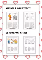 anteprima - Materiale di supporto/inclusione - Lapbook e pop-up. Esseri viventi e non viventi - Pagina 1
