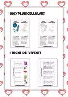 anteprima - Materiale di supporto/inclusione - Lapbook e pop-up. Esseri viventi e non viventi - Pagina 2