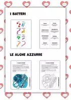 anteprima - Materiale di supporto/inclusione - Lapbook e pop-up. Esseri viventi e non viventi - Pagina 3