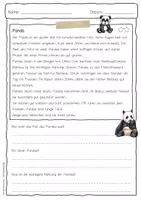 Vorschau - Arbeitsblätter - Sachtext Panda - Seite 3