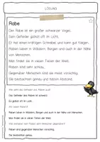 Vorschau - Arbeitsblätter - Sachtext Rabe - Seite 2