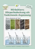 Vorschau - Stundenentwürfe - Merkmale der Wirbeltiere: Körperbedeckung - Deckblatt