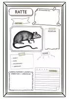 Vorschau - Arbeitsblätter - Steckbrief zur Ratte (2 Versionen) - Deckblatt