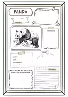 Vorschau - Arbeitsblätter - Steckbrief zum Panda (2 Versionen) - Deckblatt