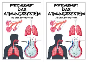 Vorschau - Arbeitsblätter - Forscherheft - Das Atmungssystem - Seite 2