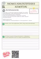 Vorschau - Arbeitsblätter - Nachweisreaktion Kohlenstoffdioxid (Experimentierhinweise inkl. Auswertung) - Seite 1