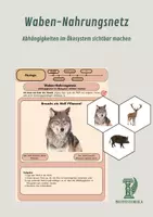 Vorschau - Stundenentwürfe - Waben-Nahrungsnetz: Abhängigkeiten im Ökosystem sichtbar machen - Deckblatt