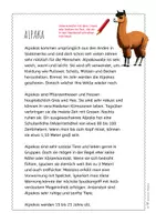 Vorschau - Arbeitsblätter - Alpaka – Steckbrief & Infotext (Kl. 2–4) - Seite 3