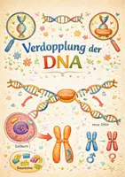 Vorschau - Arbeitsblätter - Genetik: Verdopplung der DNA (mit Lösung) - Deckblatt