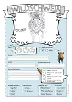 Vorschau - Arbeitsblätter - Wildschwein – Steckbrief & Infotext (Kl. 2–4) - Seite 2