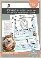 Vorschau - Arbeitsblätter - Igel – Steckbrief & Infotext (Kl. 2–4) - Deckblatt