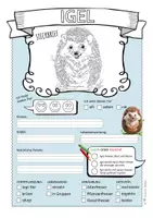 Vorschau - Arbeitsblätter - Igel – Steckbrief & Infotext (Kl. 2–4) - Seite 2