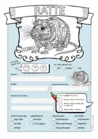 Vorschau - Arbeitsblätter - Ratte – Steckbrief & Infotext (Kl. 2–4) - Seite 2