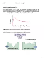 Vorschau - Klassenarbeiten - Klausur Biologie Q1: Stoffwechsel / Zellatmung - Seite 2