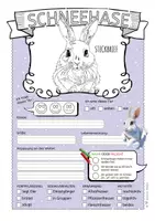 Vorschau - Arbeitsblätter - Schneehase – Steckbrief & Infotext (Kl. 2–4) - Seite 2