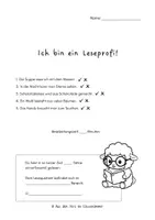 Vorschau - Arbeitsblätter - Leseprofi 1-3 für die 2. Klasse - Seite 2