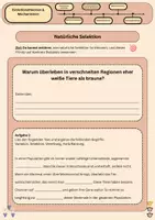 Vorschau - Stundenentwürfe - Natürliche Selektion verstehen - Variation, Selektion, Vererbung und Fortpflanzung an anschaulichen Beispielen - Seite 1