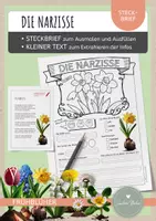 Vorschau - Arbeitsblätter - Narzisse – Steckbrief & Infotext (Kl. 2–4) - Deckblatt