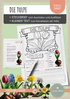 Vorschau - Arbeitsblätter - Tulpe – Steckbrief & Infotext (Kl. 2–4) - Deckblatt
