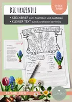 Vorschau - Arbeitsblätter - Hyazinthe – Steckbrief & Infotext (Kl. 2–4) - Deckblatt