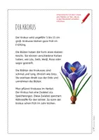 Vorschau - Arbeitsblätter - Krokus – Steckbrief & Infotext (Kl. 2–4) - Seite 3