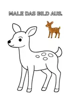 Vorschau - Arbeitsblätter - Ausmalbild - Reh (Waldtiere, PDF) - Deckblatt