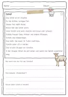 Vorschau - Arbeitsblätter - Sachtext Schaf - Seite 1