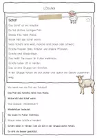 Vorschau - Arbeitsblätter - Sachtext Schaf - Seite 2