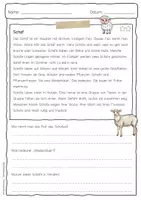 Vorschau - Arbeitsblätter - Sachtext Schaf - Seite 3