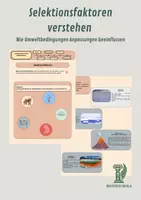 Vorschau - Stundenentwürfe - Selektionsfaktoren verstehen - Wie Umweltbedingungen Anpassungen beeinflussen - Deckblatt