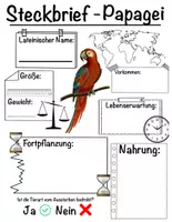 Vorschau - Arbeitsblätter - Materialpaket - kreative Tiersteckbriefe zum Ausfüllen - Seite 1