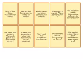 Vorschau - Spiele - Brettspiel Sonnenblume - Seite 2