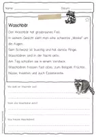Vorschau - Arbeitsblätter - Sachtext Waschbär - Seite 1