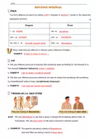 Vorschau - Arbeitsblätter - Grammatik Arbeitsblatt Reflexive pronouns - Seite 2
