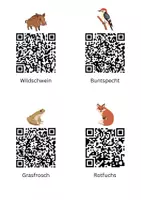 Vorschau - Arbeitsblätter - Steckbrief Tier + QR Codes Waldtiere - Deckblatt