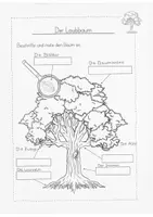 Vorschau - Arbeitsblätter - Der Laubbaum und die Aufgaben seiner Bestandteile - Deckblatt