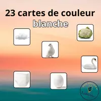 Aperçu - Jeux - 23 cartes de la couleur blanche - Page de couverture