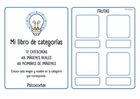 Vista previa - Tarjetas / Manipulativos - Mi libro de categorías (imágenes reales) - Portada