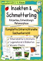 Vorschau - Arbeitsblätter - Insekten & Schmetterling – Metamorphose, Körperbau & Entwicklung (Sachunterricht) - Deckblatt