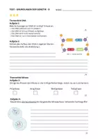 Vorschau - Test - Test - Grundlagen der Genetik (DNA, Mitose & Meiose) - Deckblatt
