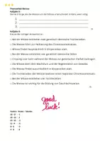 Vorschau - Test - Test - Grundlagen der Genetik (DNA, Mitose & Meiose) - Seite 1