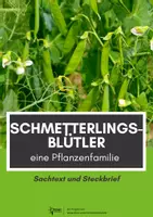 Vorschau - Arbeitsblätter - Schmetterlingsblütler - Sachtext und Steckbrief - Deckblatt