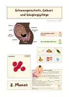 Vorschau - Arbeitsblätter - Sexualerziehung (Schwangerschaft, Geburt und Säuglingspflege) Materialpaket - Deckblatt